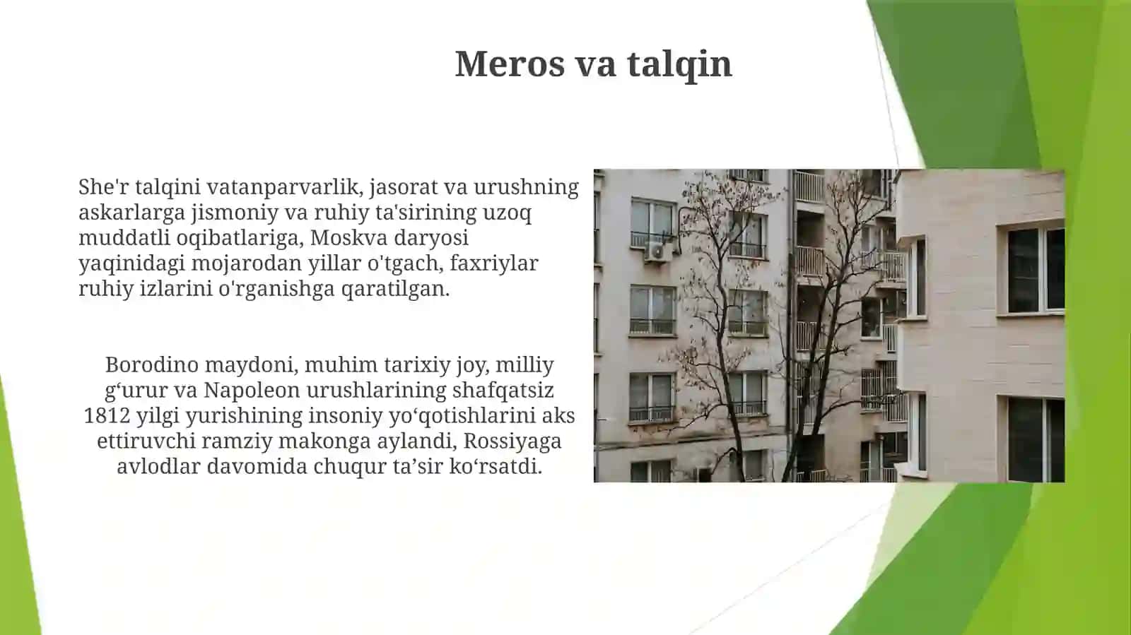 "Бородино"МихаилЛермонтов 4