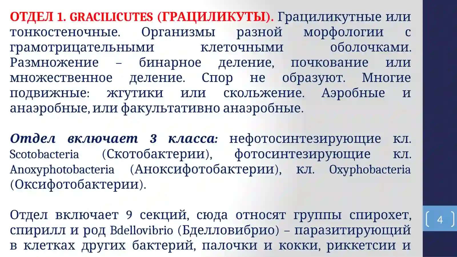 КЛАССИФИКАЦИЯ МИКРООРГАНИЗМОВ 4