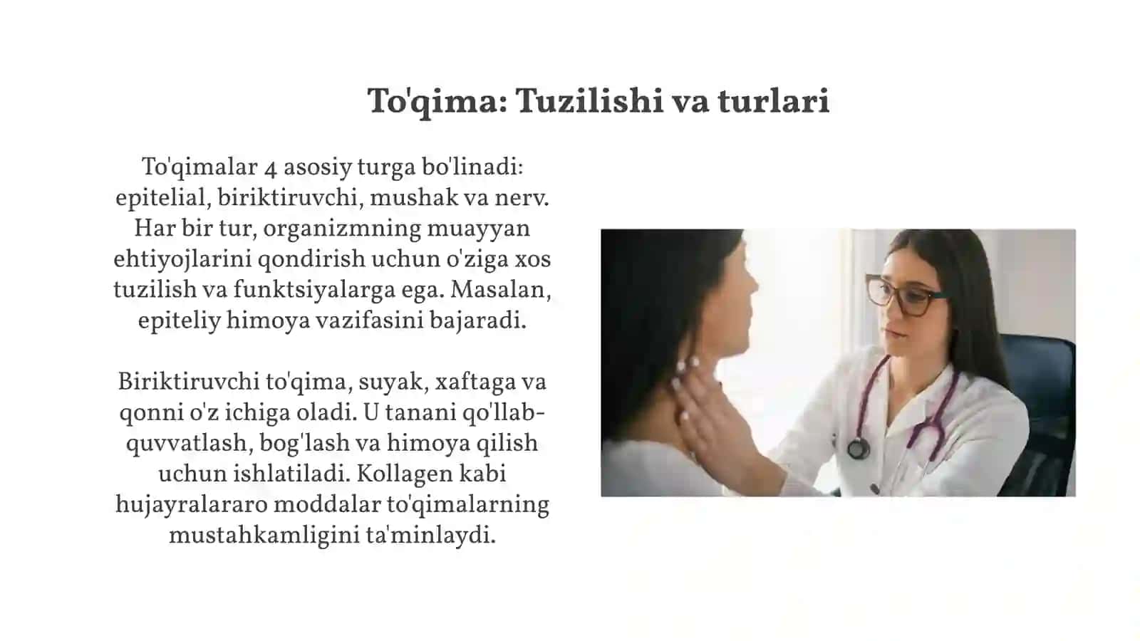 Ichki muhit to'qimasi. Qon 4