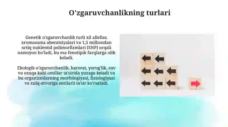 O'zgaruvchanlik 4