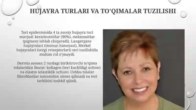 Teri gistologiyasi 4