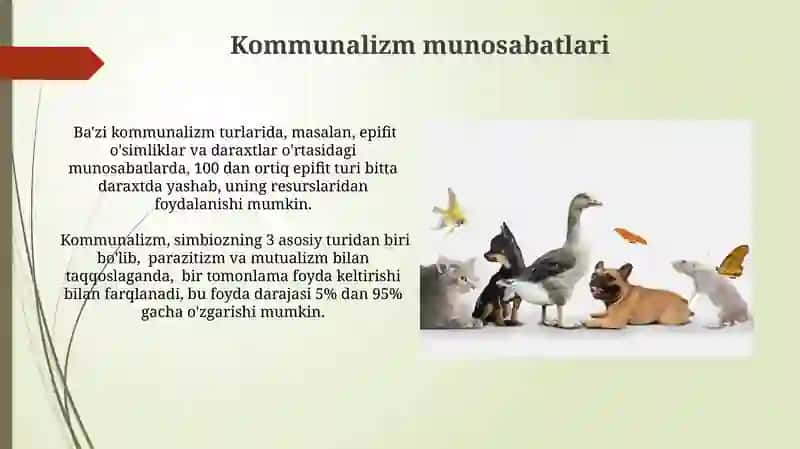 Etologiya asoslari 4