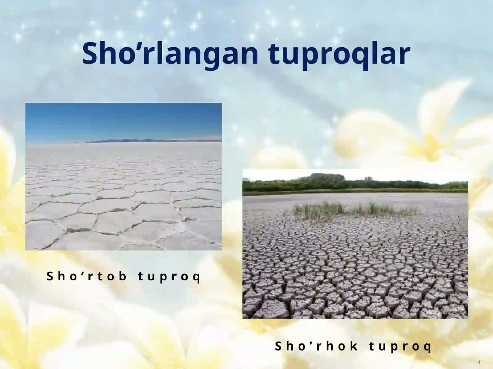 SHO`RLANGAN TUPROQALR. CHO`L ZONASINING TUPROALARI 4