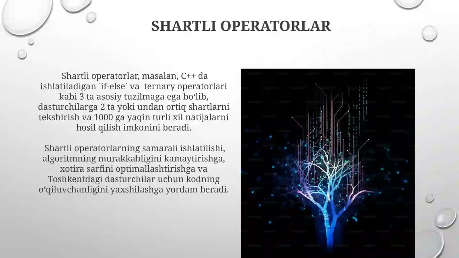 Algoritmlashtirish va Dasturlash Asoslari 4