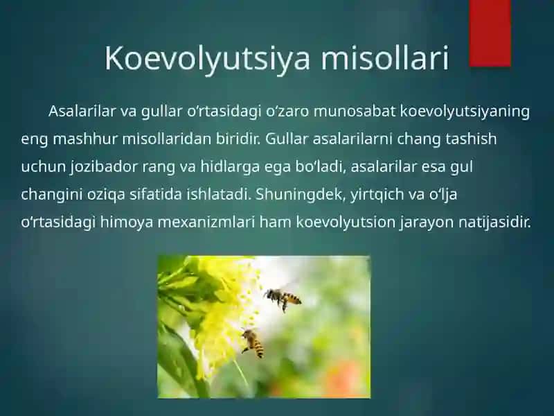 Koevolyutsiya va Environmentalizm dialektikasi 4