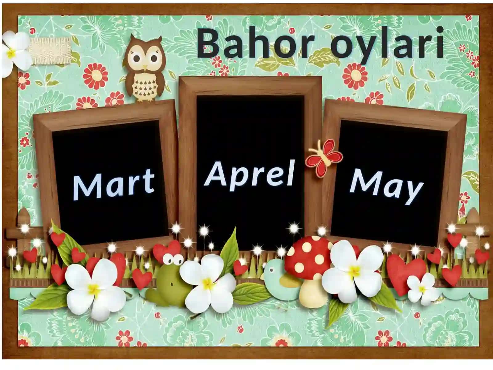 May dasturxoni 4
