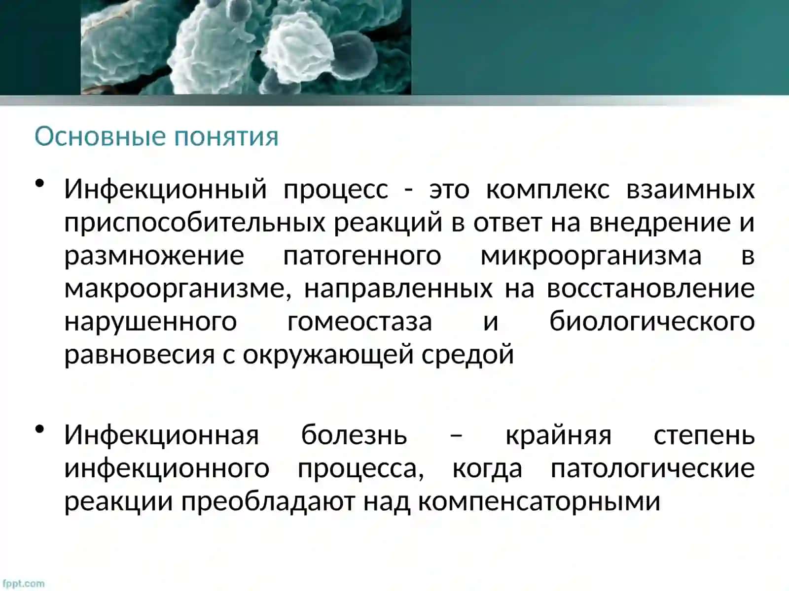 Медицинская микробиология 4
