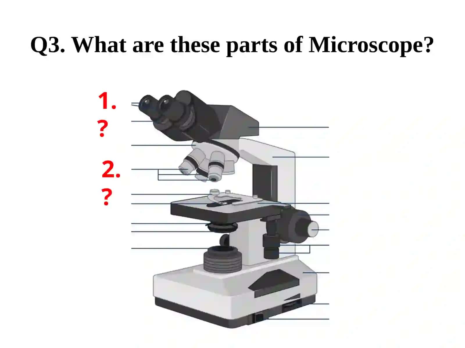 Medical Biology 4
