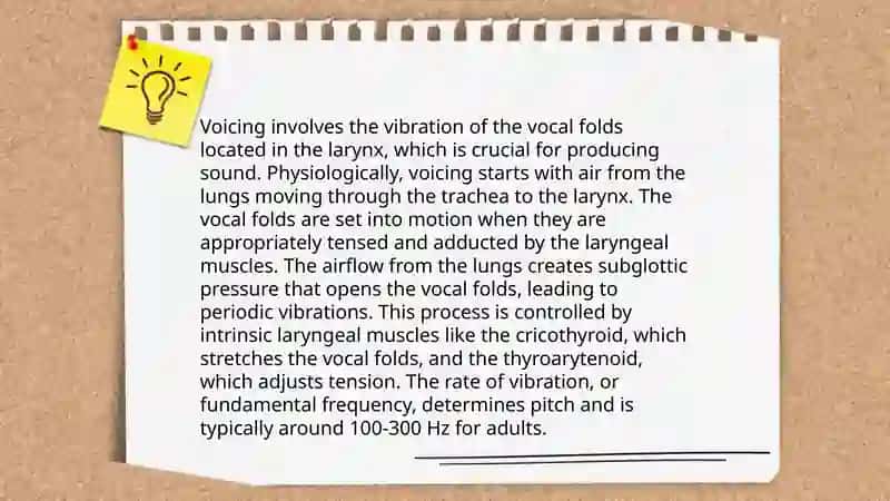 Voiced and voiceless constants 4