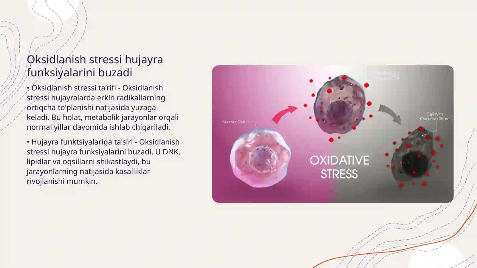 Lipidlarni peroksidlanishi va hujayra shikastlanishi patogenezidagi ahamiyati 4