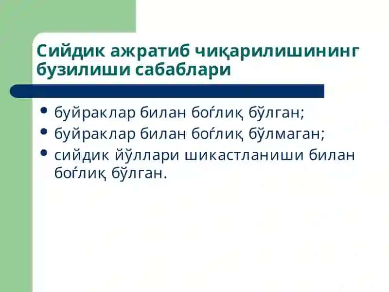 Буйраклар патофизиологияси 4