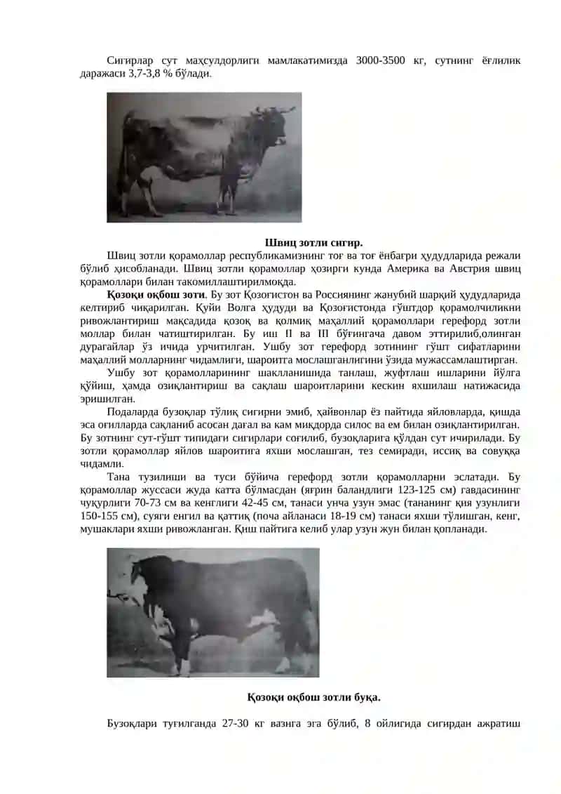 Қорамол зотлари 4