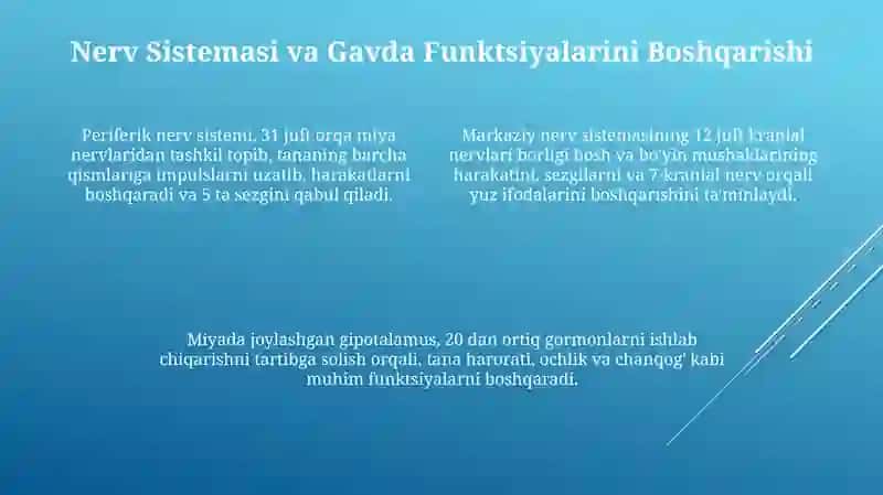 Gavda mushagi va vazifasi tuzilishi 4