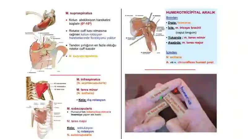 TOSHKENT TIBBIYOT AKADEMIYASI 4