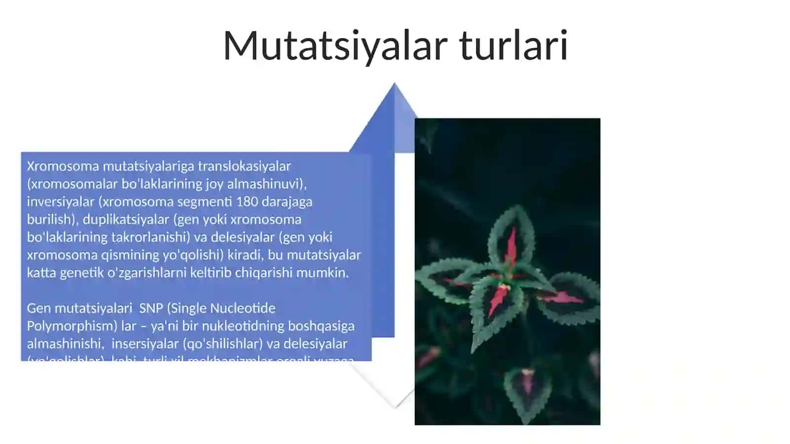 Zararli mutatsiyalar misollari 4
