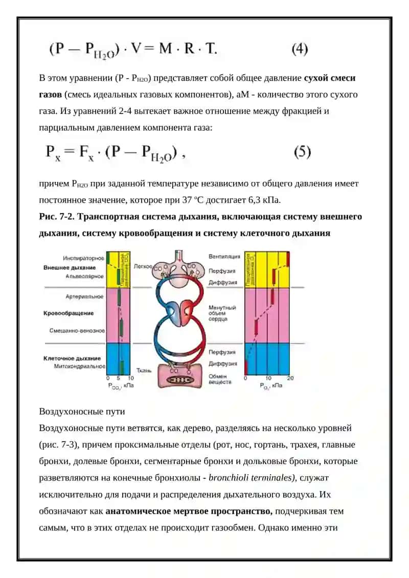 ФИЗИОЛОГИЯ ДЫХАНИЯ 4