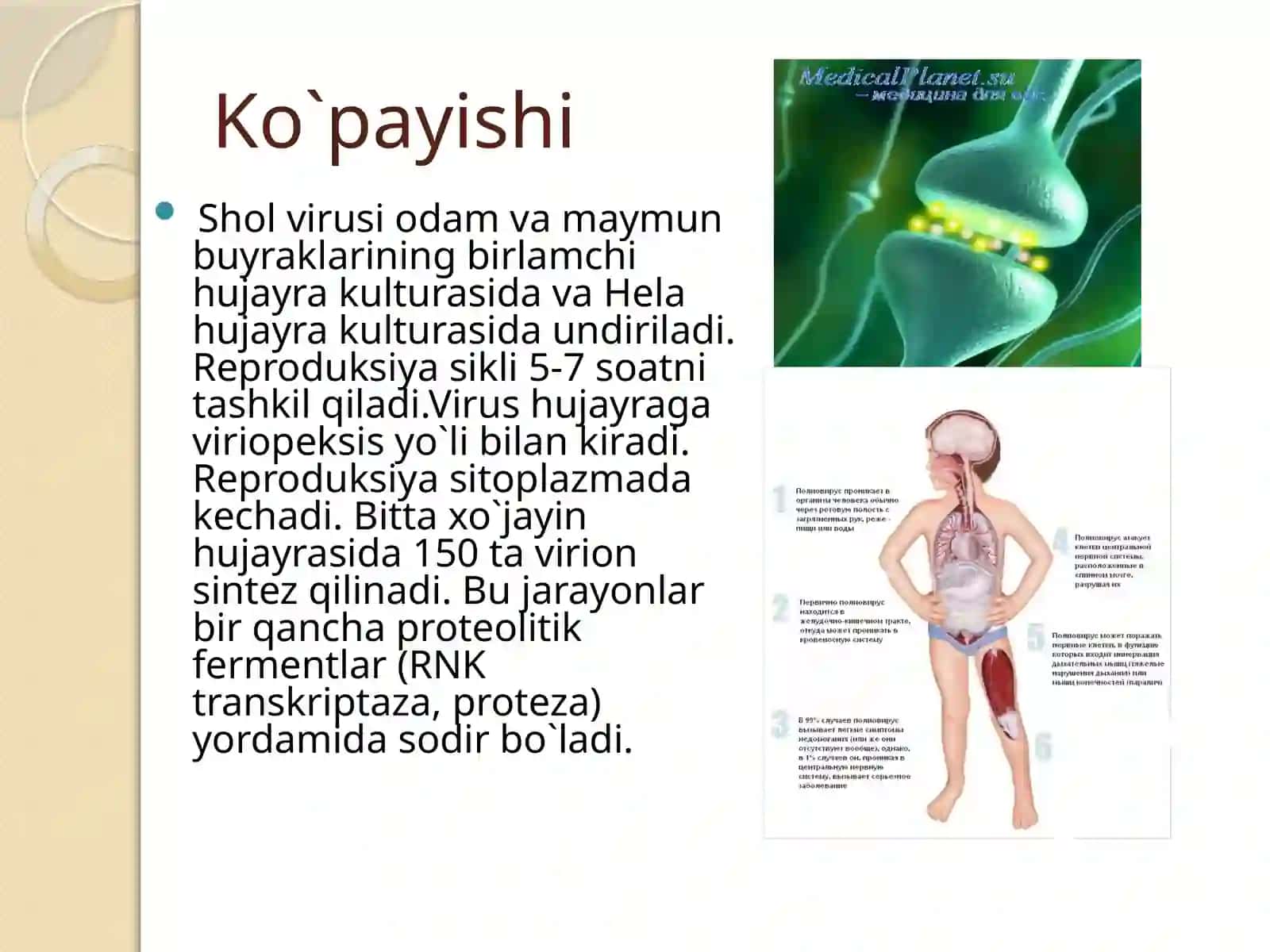POLIOMIYELIT VIRUSI 4