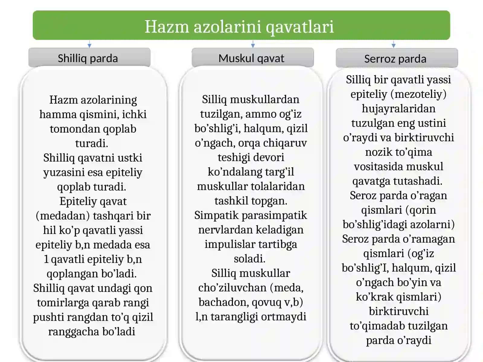 Ovqat hazm qilish 4