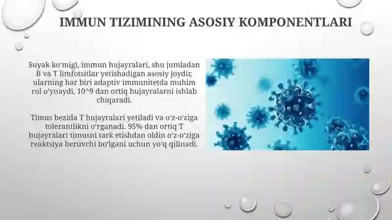 Immunitet va immun tizimi 4