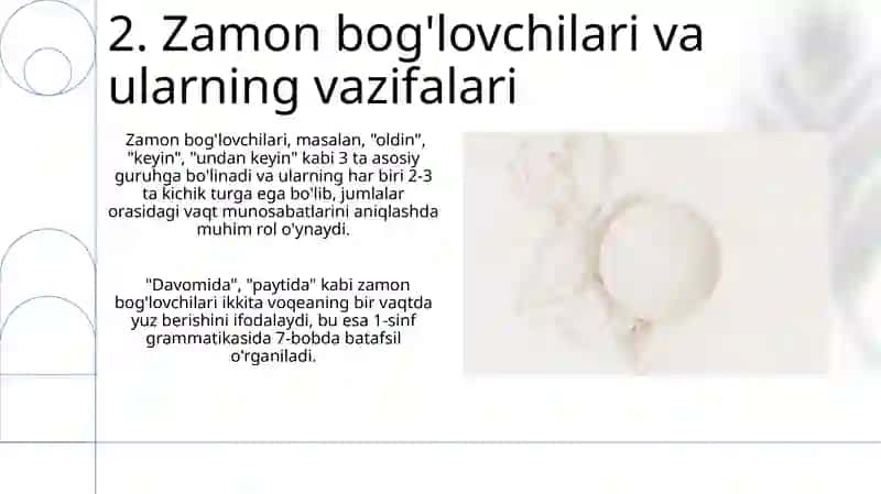 Скелет туловища 4