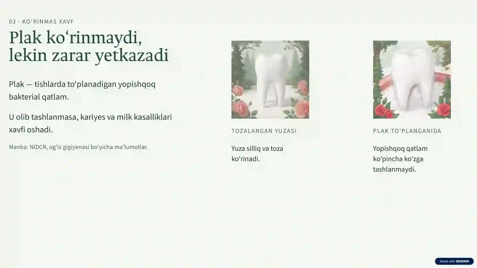 Og‘iz bo‘shlig‘i 4