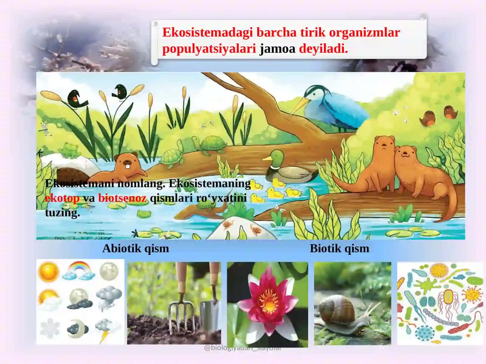 EKOSISTEMALARDAGI O‘ZARO MUNOSABATLAR 4