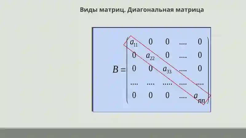 Матрицы и действия над ними 4