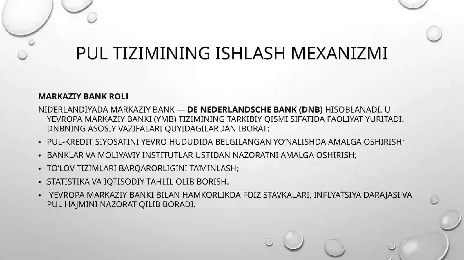 Niderlandiya pul tizimi 4