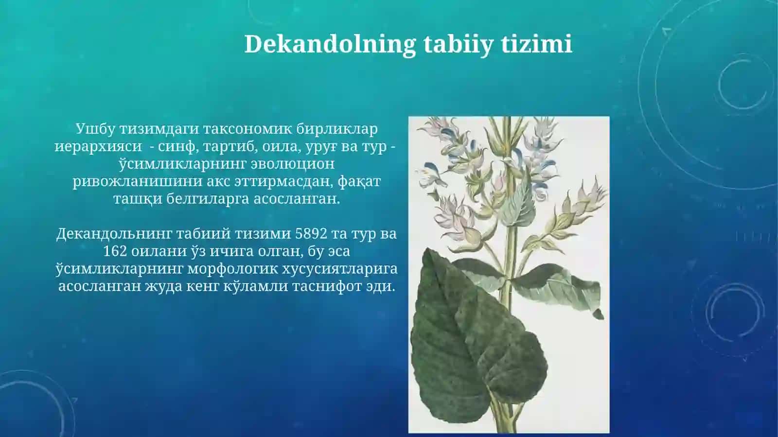 Yuksak osimliklarning taksonomik tarixi 4
