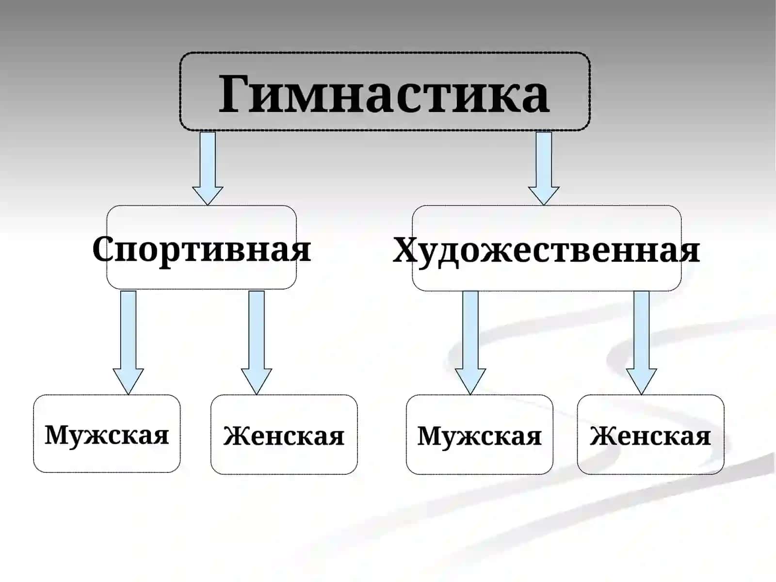 Спортивная гимнастика 4