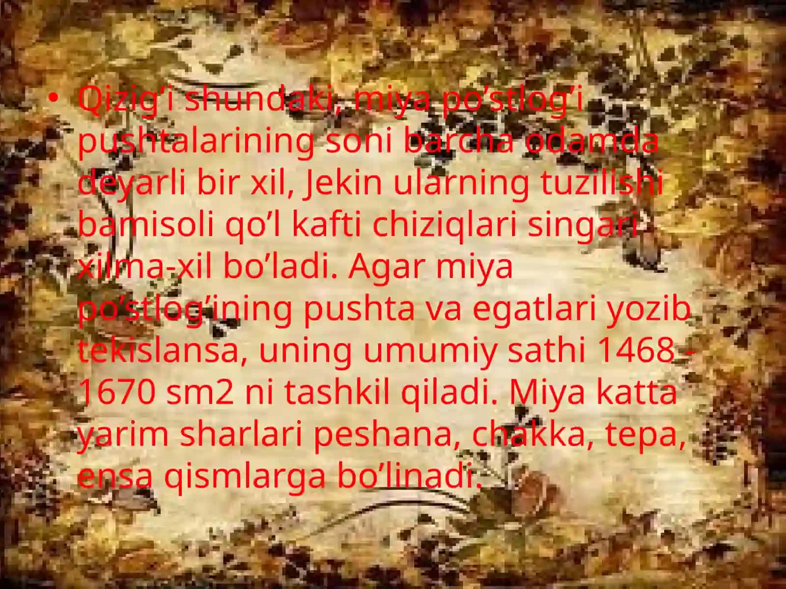 Bosh miya tuzilishi va funktsiyasi 4