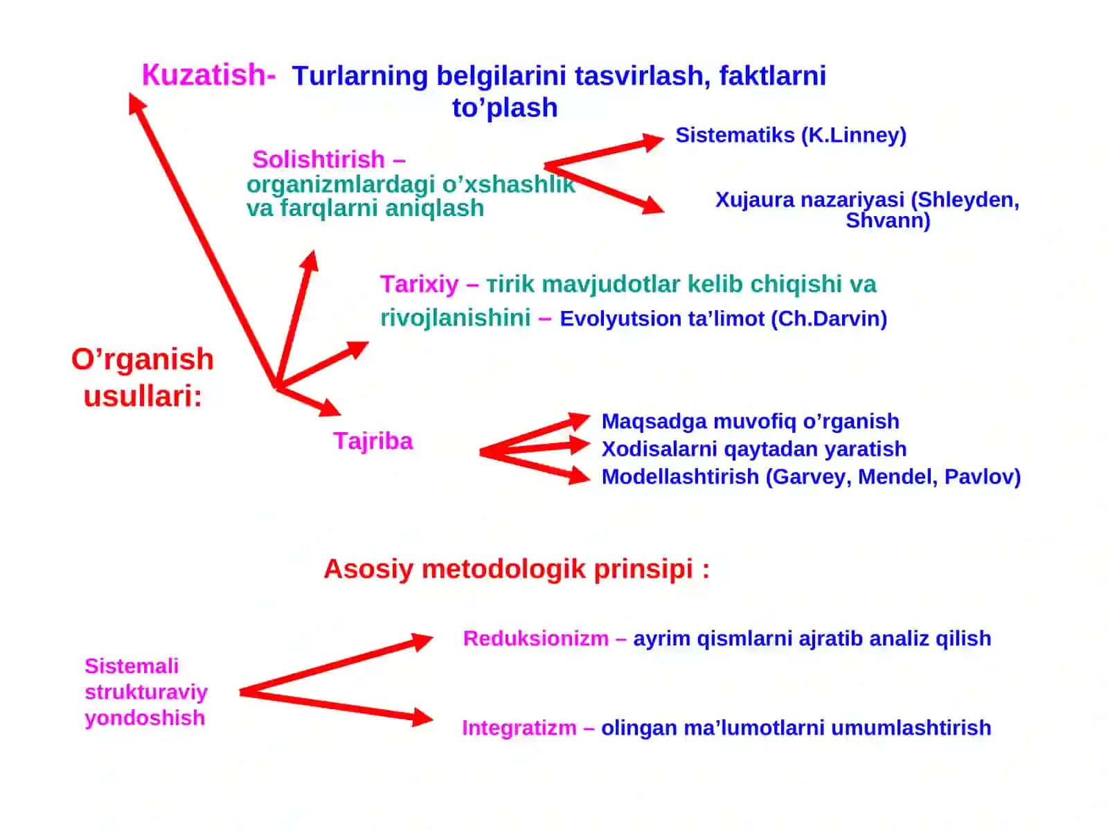 Hayotning molekulyar asoslari 4