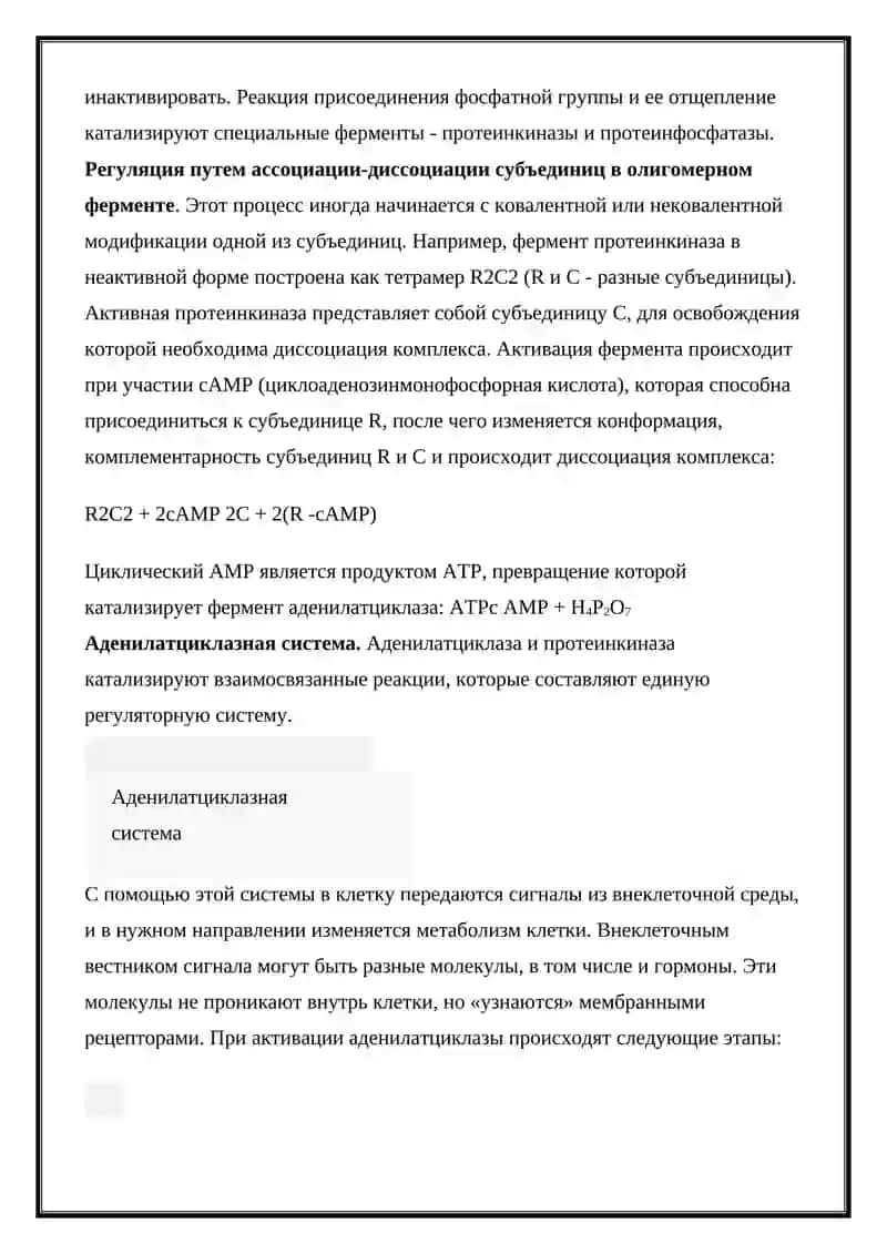 Управление активностью ферментов 4