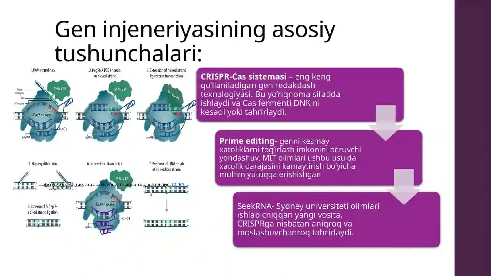 Genetik injeneriyasi 4