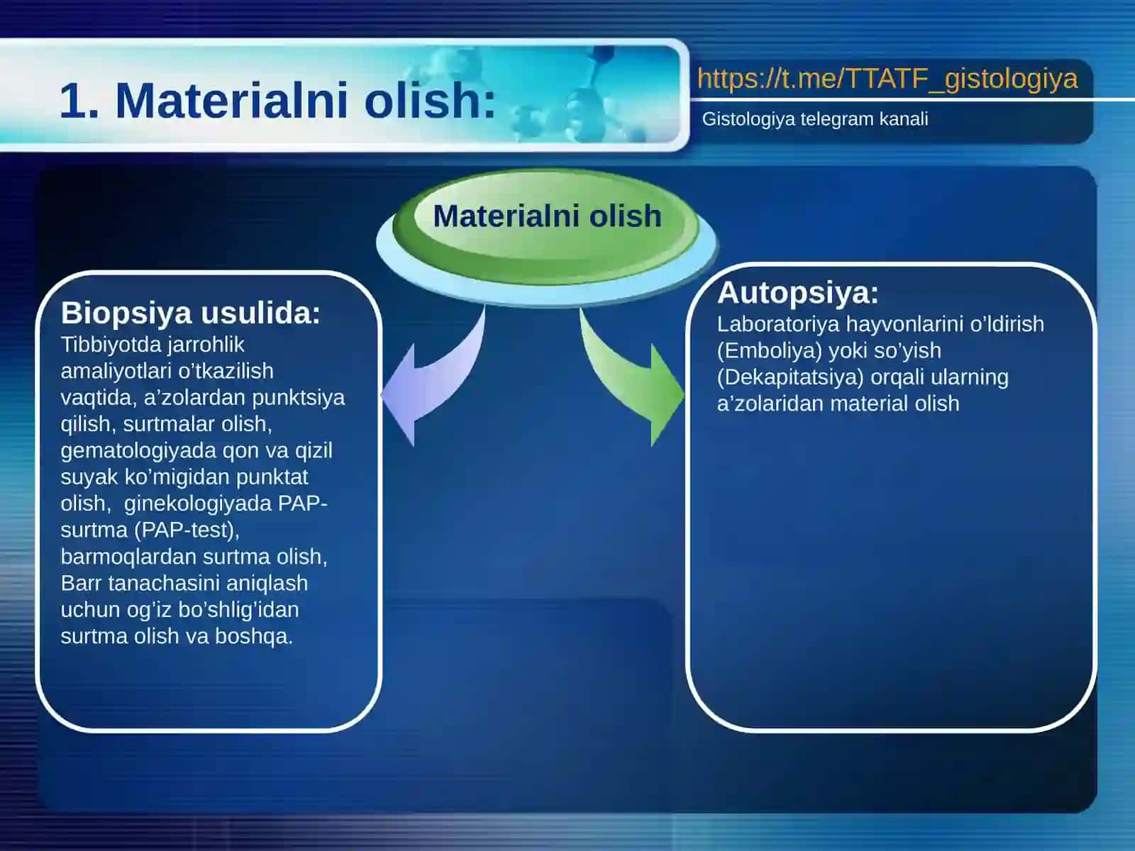 Gistologikpreparatlarni tayyorlash texnikasi 4