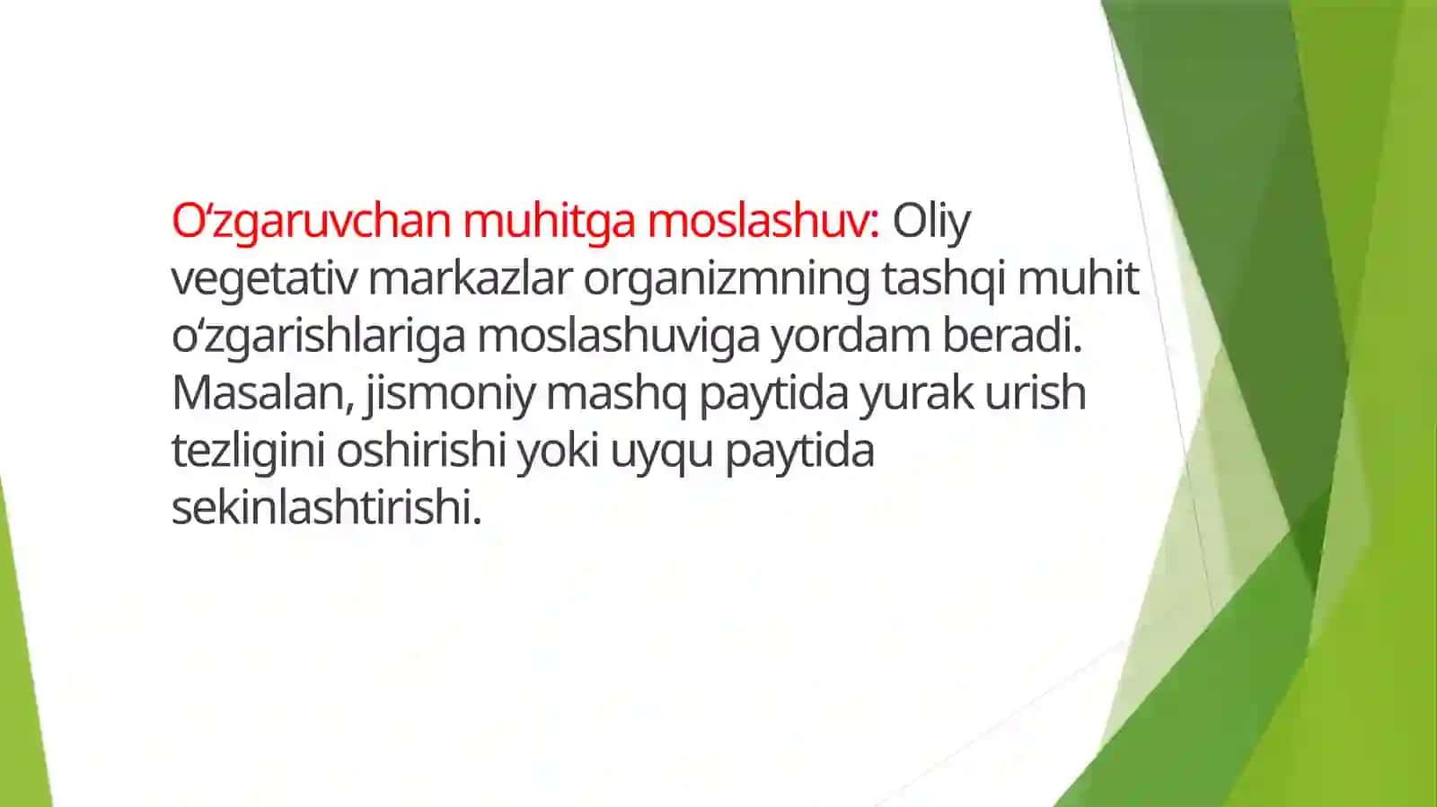 Vegetativ oliy markazlar va ularning funksional ahamiyati 4