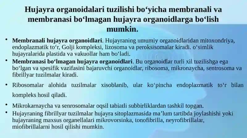 Hujayraning asosiy organoidlari 4
