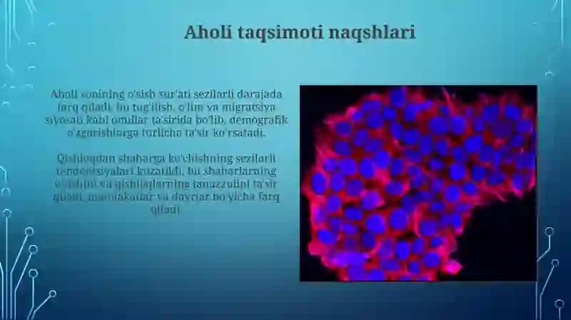 Afrika qit'a mamlakatlari aholisining hududiy va davriy qiyosiy tahlil 4