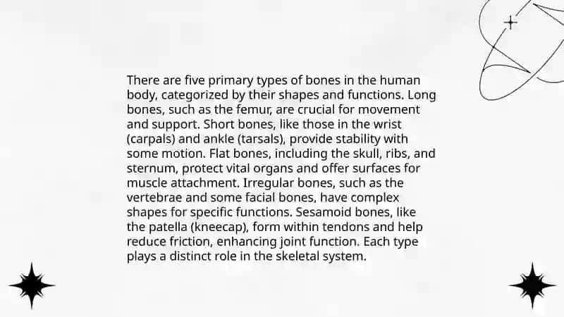 Skeletal System 4
