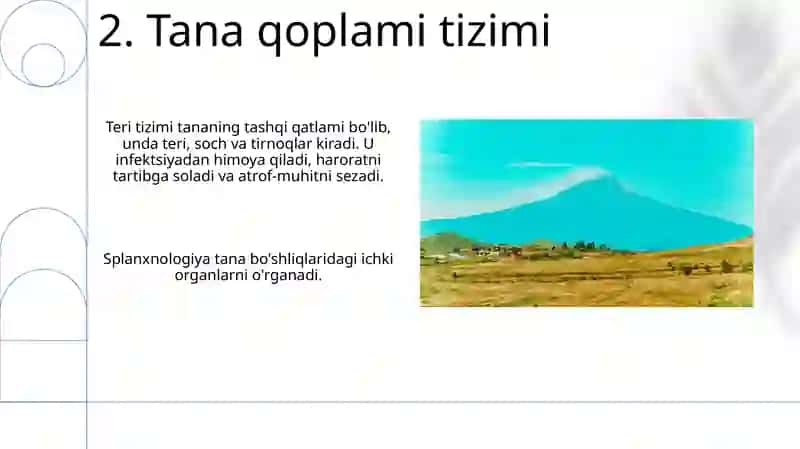 Splanxnologiya asoslari 4