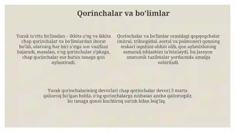 Yurak va qon tomirlarning tuzilishi 4
