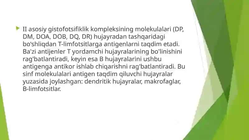 HLA-tizimi 4