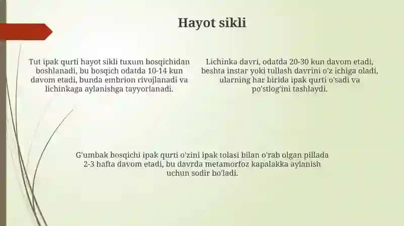 Tut ipak qurtining klassifikatsiyasi 4
