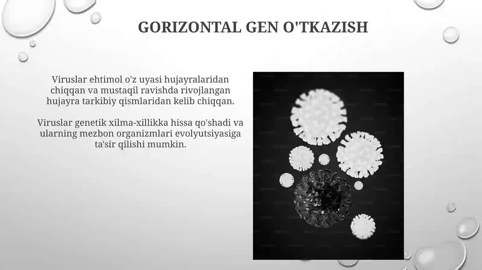 Virus Evolyutsiyasi va Xilma-Xilligi 4