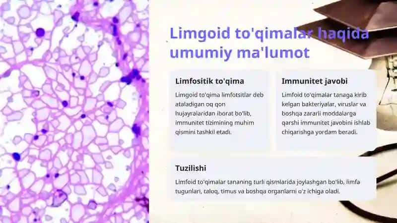 Hazm nayining limgoid tuzilmalari 4