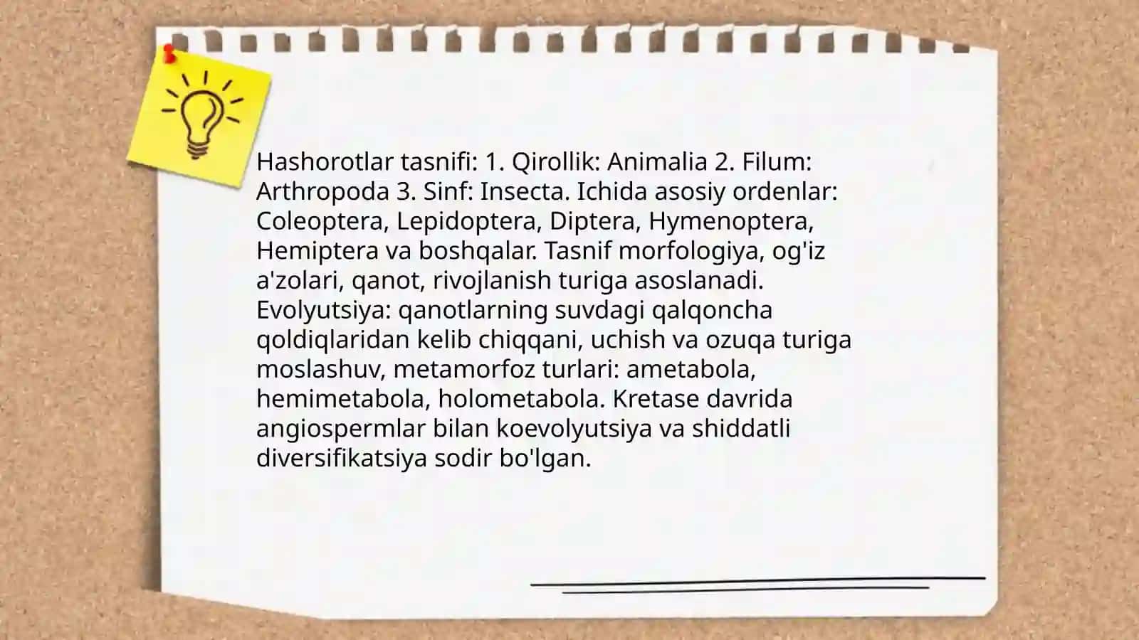 Hashorotlar 4