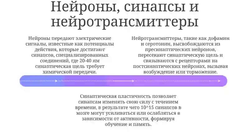 Головноймозг 4