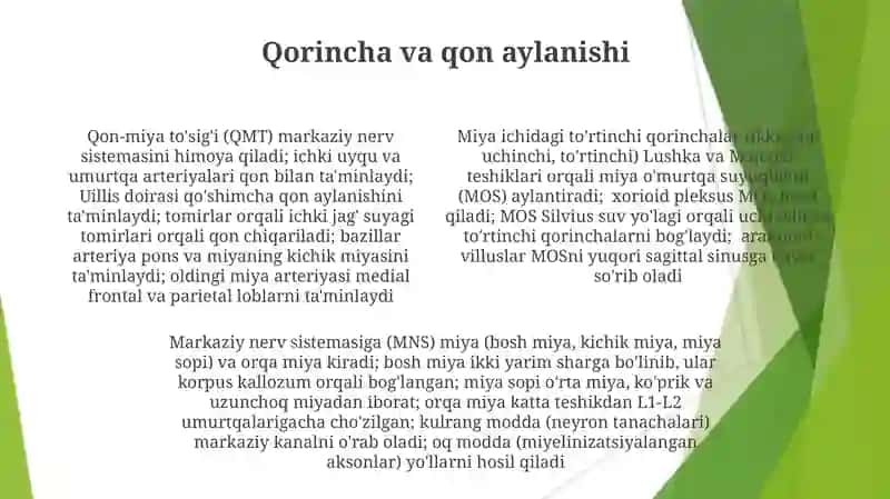 Markaziy nerv sistemasi anatomiyasi 4