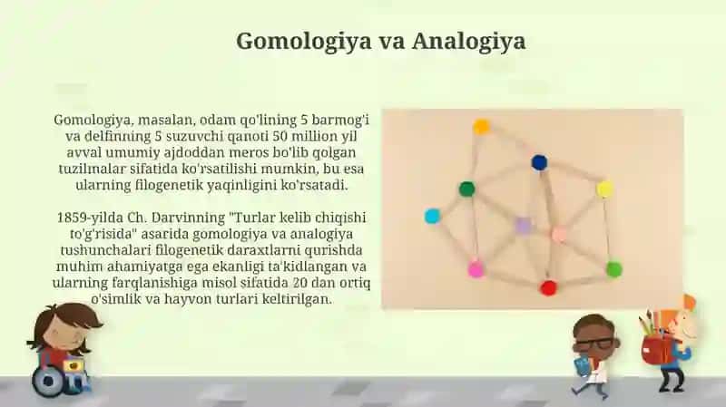 Filogenetik Sistematika 4