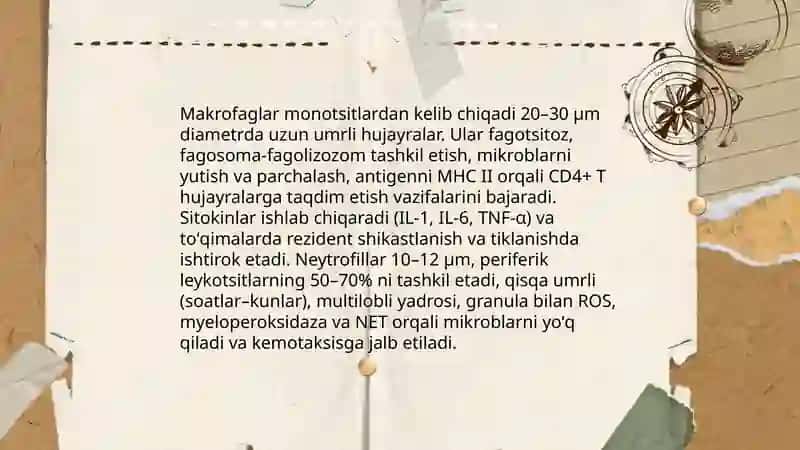 Immunitet (teoriyadan) gʻoyalari 4